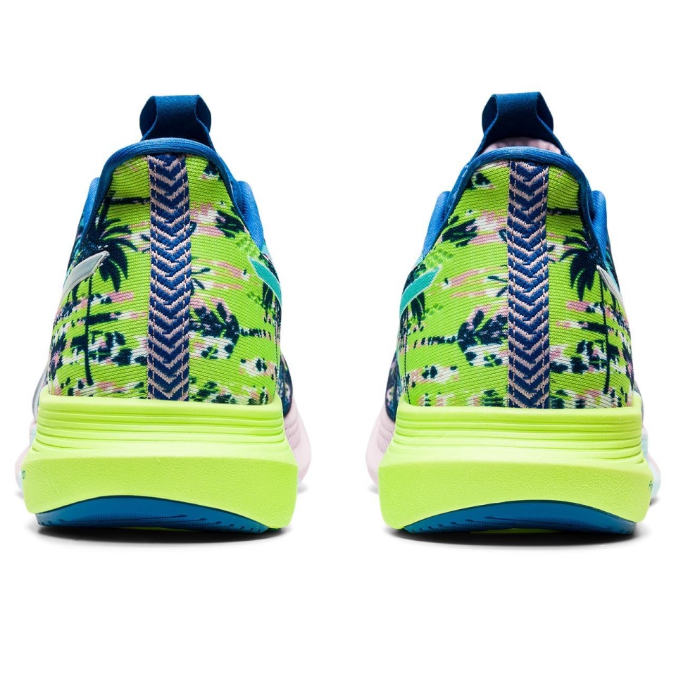 Asics NOOSA TRI 14 Lake