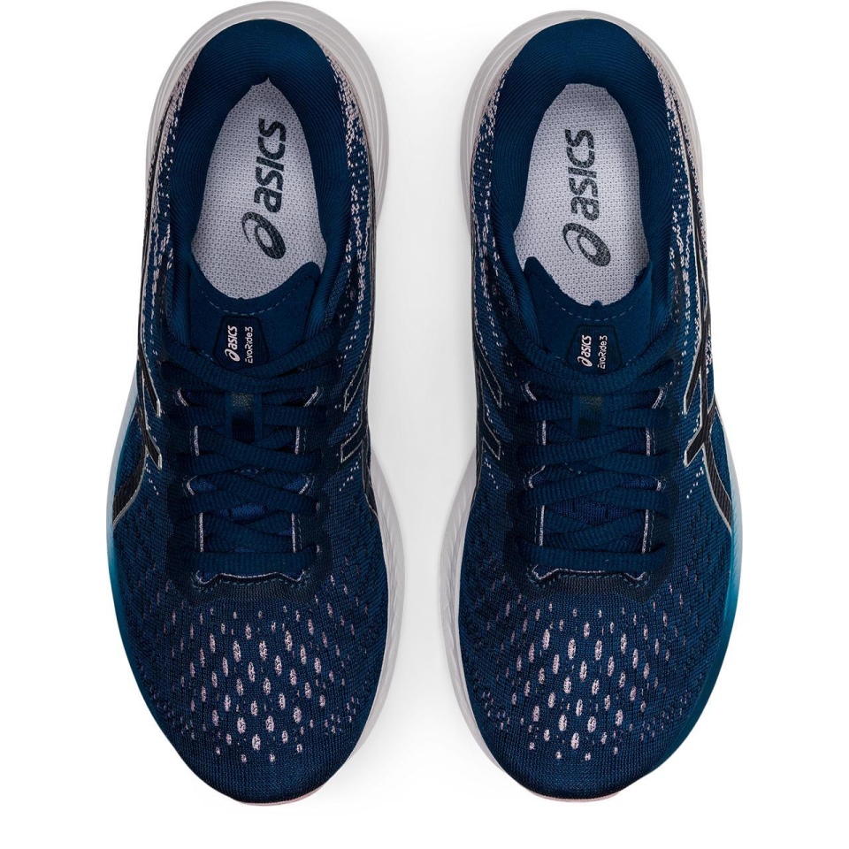 EvoRide 3 Asics Blue