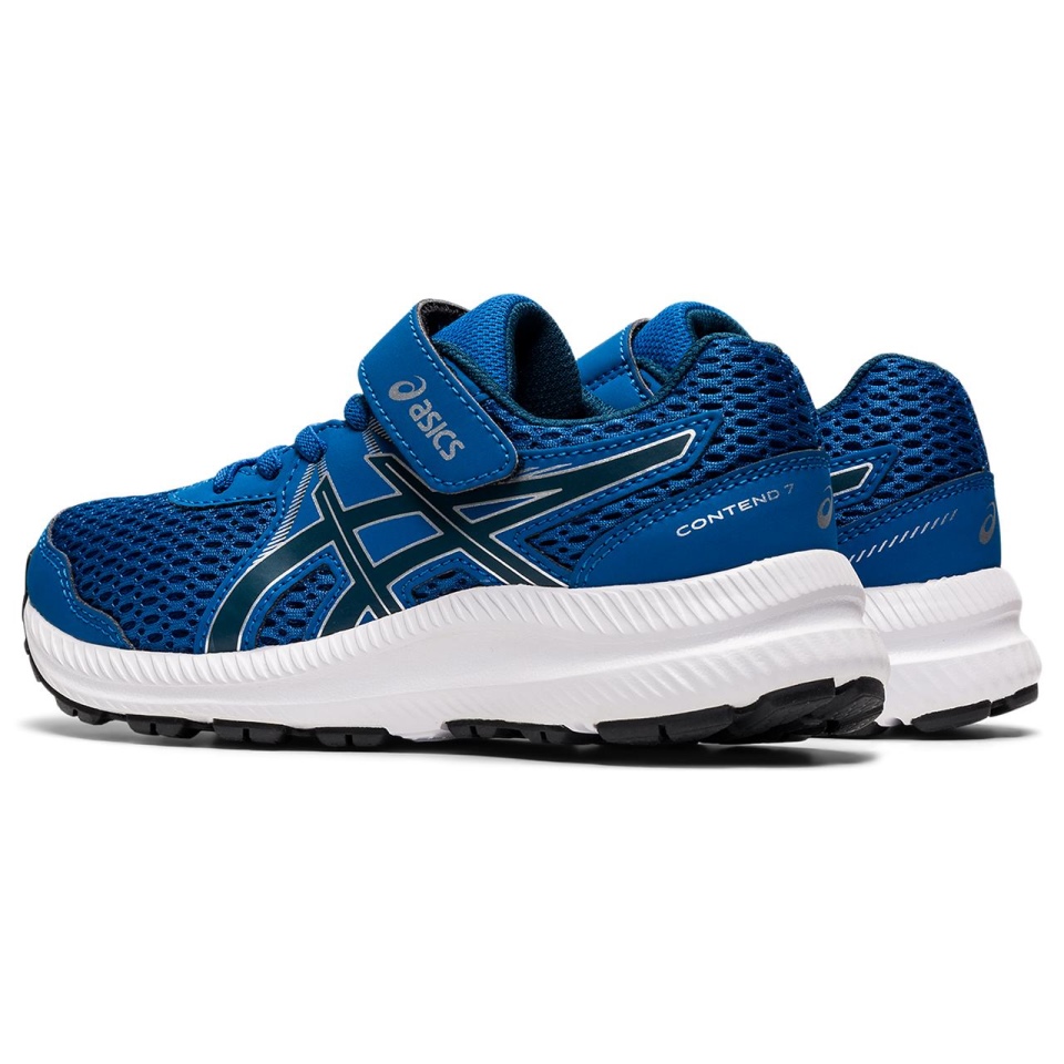 Lake Asics CONTEND 7 PS