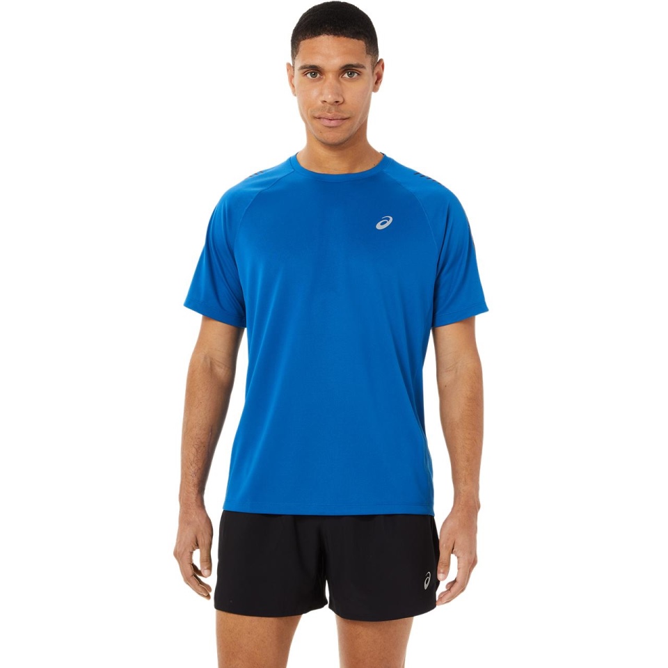 Lake Asics ICON SS TOP MEN EASTERN