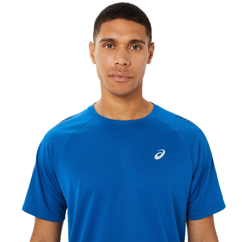 Lake Asics ICON SS TOP MEN EASTERN